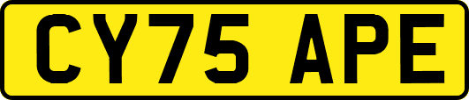 CY75APE
