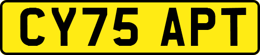 CY75APT