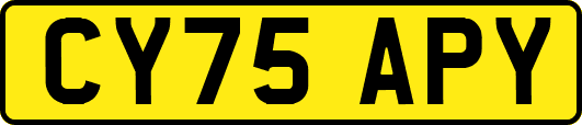 CY75APY