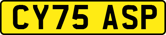 CY75ASP