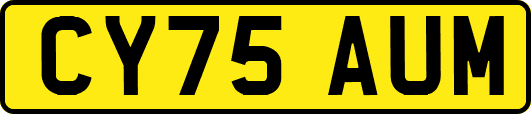 CY75AUM