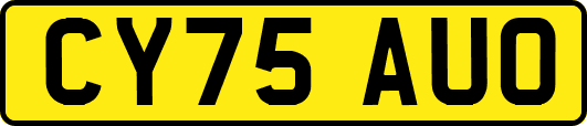 CY75AUO