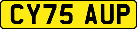 CY75AUP