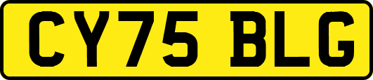 CY75BLG