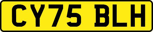 CY75BLH