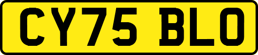 CY75BLO