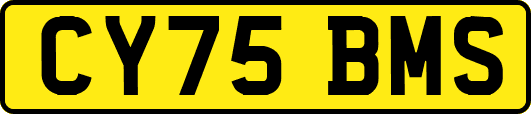 CY75BMS