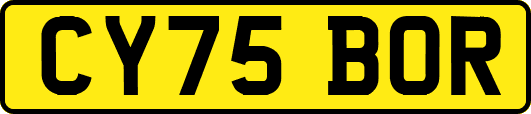CY75BOR