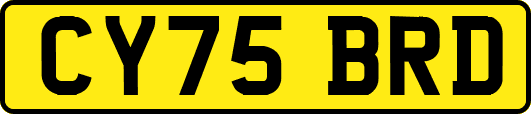 CY75BRD