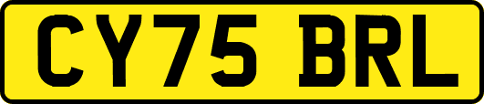 CY75BRL