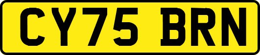 CY75BRN