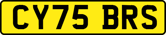 CY75BRS