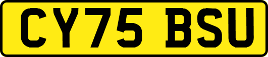CY75BSU