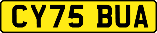 CY75BUA