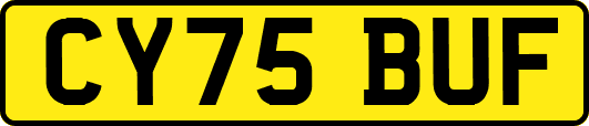 CY75BUF