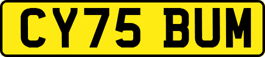 CY75BUM