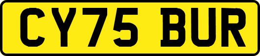 CY75BUR