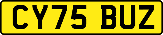 CY75BUZ