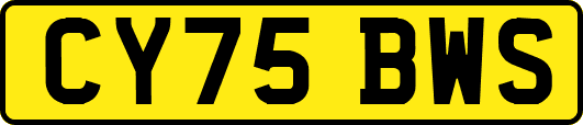 CY75BWS