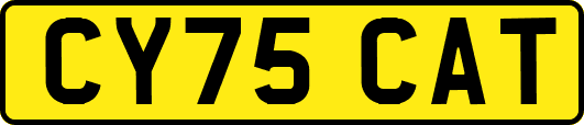 CY75CAT
