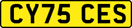 CY75CES