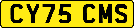 CY75CMS