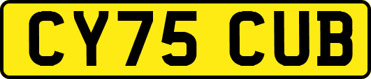 CY75CUB