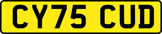 CY75CUD