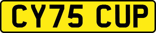 CY75CUP