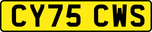CY75CWS