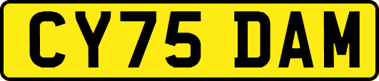 CY75DAM