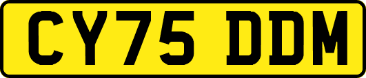 CY75DDM