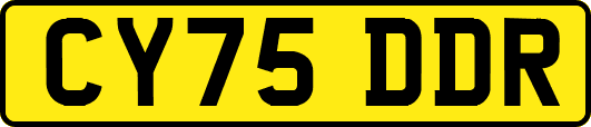CY75DDR