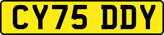 CY75DDY