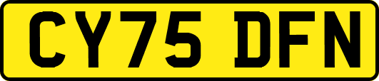 CY75DFN