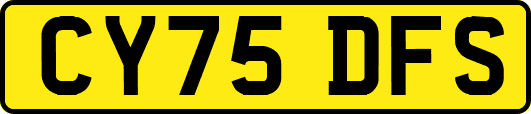 CY75DFS