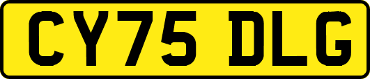 CY75DLG