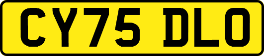 CY75DLO