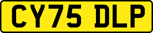 CY75DLP