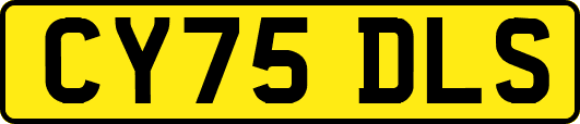 CY75DLS
