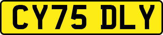 CY75DLY