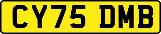 CY75DMB