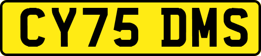 CY75DMS