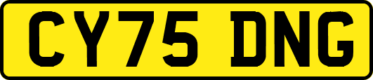 CY75DNG