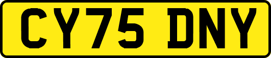 CY75DNY