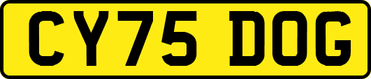 CY75DOG