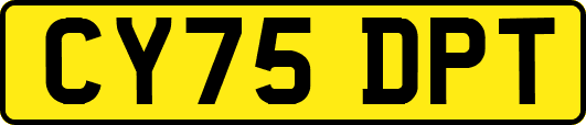 CY75DPT