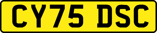 CY75DSC