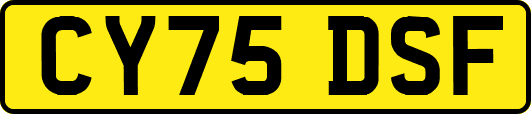 CY75DSF