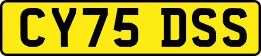 CY75DSS